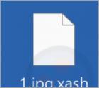 Xash Ransomware