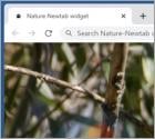 Nature-Newtab Browser Hijacker