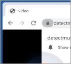Detectmus.com Ads
