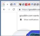 Gouddin.com Ads