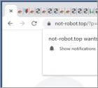 Not-robot.top Ads