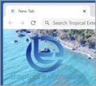 Tropical Extension Browser Hijacker