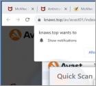 Avast - Your PC Is Infected With 5 Viruses! POP-UP Scam