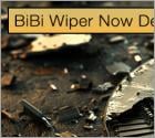 BiBi Wiper Now Destroys Disk Partition Table