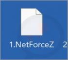 NetForceZ Ransomware