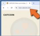 $CAT Airdrop Scam