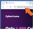 CyberLama Mint Scam