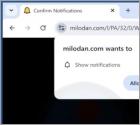 Milodan.com Ads