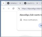 Dipusdigs.club Ads