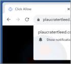 Plaucratertleed.com Ads