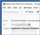 Accounting Has Shared Access Email Scam