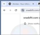 Snadsfit.com Ads