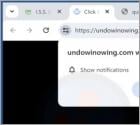 Undowinowing.com Ads