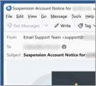 Website Suspension In Progress Email Scam