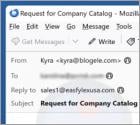 Share Your Company Catalog Email Scam