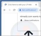 Ntmadz.com Ads