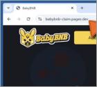 CLAIM $BabyBNB Scam