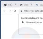 Biensifoods.com Ads