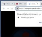 Biloposipalae.com Ads