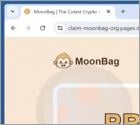 MoonBag Presale Scam