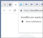 Broidfit.com Ads