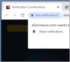 Elixirnexus.com Ads
