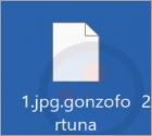 GonzoFortuna Ransomware