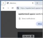 Opalarmes2.space Ads