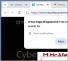 Topsafeguardcenter.com Ads