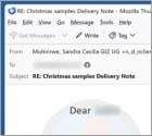 Christmas Sample Email Scam