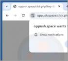 Oppush.space Ads