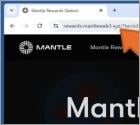 Mantle Rewards Station Scam