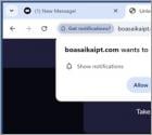 Boasaikaipt.com Ads