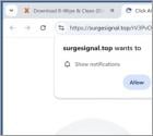Surgesignal.top Ads