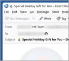 Special Holiday Gift For You Email Scam