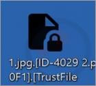 TRUST FILES Ransomware