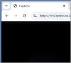 Volemist.co.in Ads