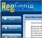 RegGenie rogue registry utility