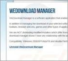 WeDownload Manager