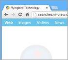 Searches.vi-view.com Redirect