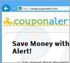 Ads by Coupon Alert