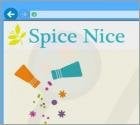 Spice Nice Adware