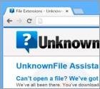 UnknownFile Adware