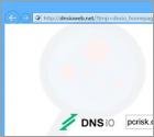 Dnsioweb.net Redirect