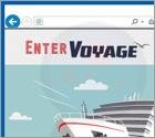 Enter Voyage Ads