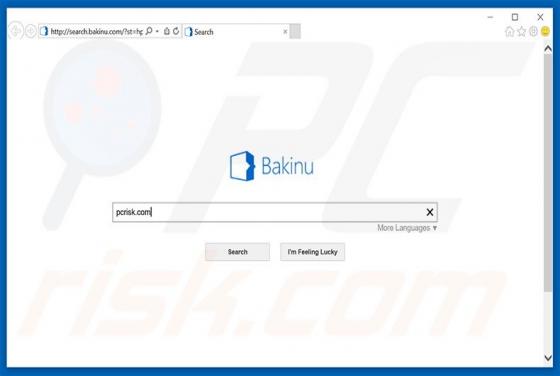 Search.bakinu.com Redirect