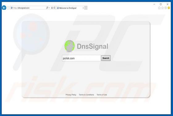 Dnssignal.com Redirect