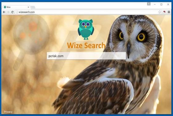 Wizesearch.com Redirect