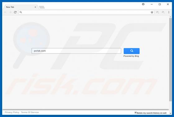 Search.hideyoursearch.win Redirect