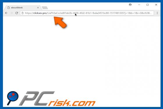 Clicksev.pro Redirect